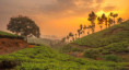 /album/fotogaleria-lakadivy-zajazd/lakadivy-zajazd-india-jamajkanita-27-jpg1/